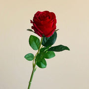 FSARCAN Bulgarian-Style Rose — Bright Red