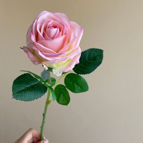 FSARCAN Bulgarian-Style Rose — Rose Multicolor