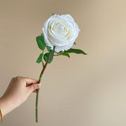 FSARCAN Bulgarian-Style Rose — White