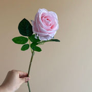 FSARCAN Bulgarian-Style Rose — Pink
