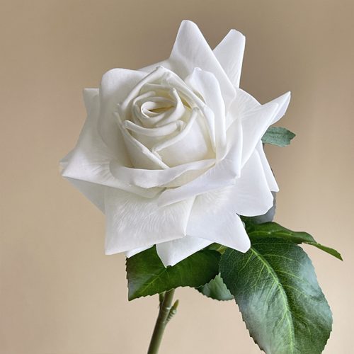 FSARCAN Large-Bloom Real-Touch Rose — White