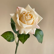FSARCAN Large-Bloom Real-Touch Rose — Champagne