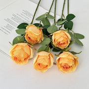 FSARCAN Bulgarian-Style Rose — Yellow