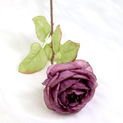 FSARCAN Diana-Style Antique-Edge Rose — Purple