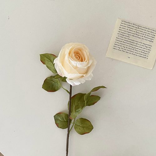 FSARCAN Antique-Edge Rose — White