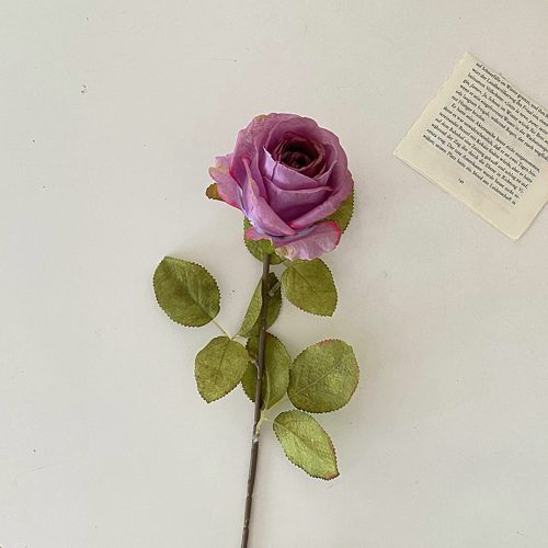 FSARCAN Antique-Edge Rose — Purple