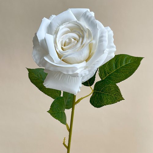 FSARCAN Single-Bloom Rose — White