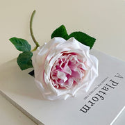 FSARCAN Austin-Style Rose — Light Rose Pink
