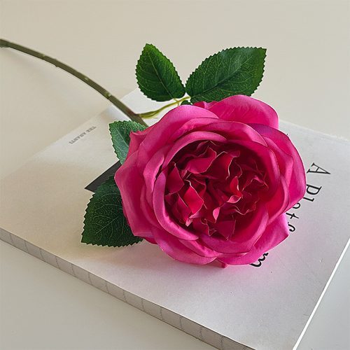 FSARCAN Austin-Style Rose — Rose Red