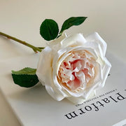 FSARCAN Austin-Style Rose — Nude