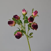 FSARCAN 7-Bloom Antique-Edge Rose — Autumn Red