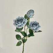 FSARCAN 3-Bloom Antique-Edge Rose — Blue