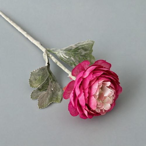 FSARCAN Short-Stem Ranunculus — Rose Red