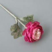 FSARCAN Short-Stem Ranunculus — Rose Red