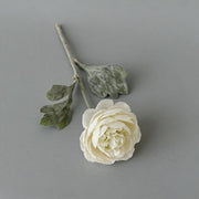 FSARCAN Short-Stem Ranunculus — White