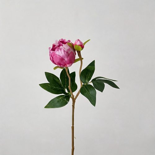 FSARCAN 2-Bloom Peony — Rose Red
