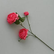 FSARCAN 3-Bloom Ranunculus — Rose Red