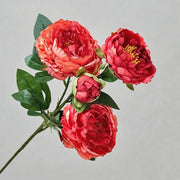 FSARCAN 4-Bloom Peony — Orange Red