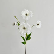 FSARCAN Butterfly Ranunculus — White