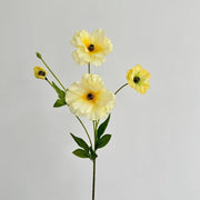FSARCAN Butterfly Ranunculus — Yellow