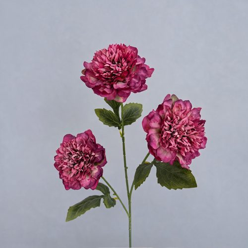 FSARCAN 3-Bloom Pomegranate-Style Peony — Rose Red