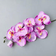 FSARCAN 8-Bloom Autumn Phalaenopsis Orchid — Spring Light Purple