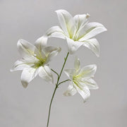 FSARCAN 3-Bloom Lily — White