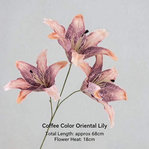 FSARCAN 3-Bloom Oriental-Style Lily — Coffee