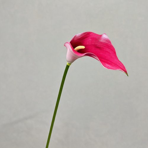 FSARCAN Large Calla Lily — Rose Red