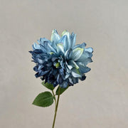 FSARCAN Antique-Edge Dahlia — Blue