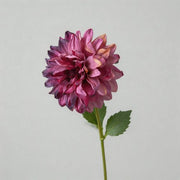 FSARCAN Antique-Edge Dahlia — Dusty Mauve