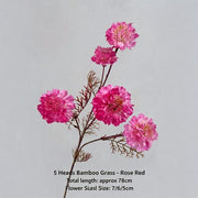 FSARCAN 5-Bloom Scabiosa — Rose Red