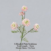 FSARCAN 5-Bloom Scabiosa — Pink