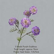 FSARCAN 5-Bloom Scabiosa — Purple