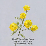 FSARCAN 5-Bloom Scabiosa — Yellow