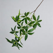 FSARCAN Money Tree Foliage — Green