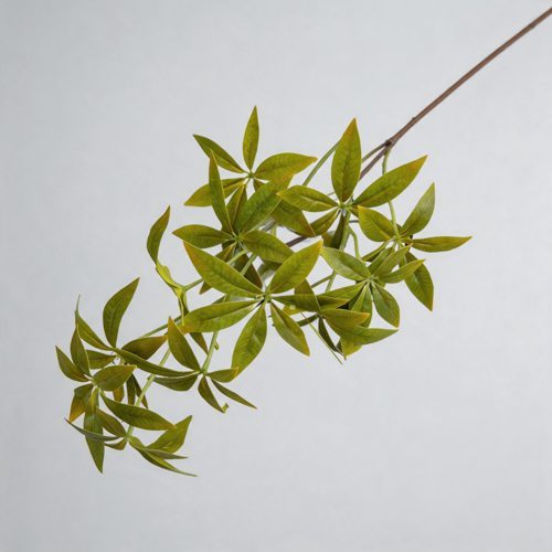 FSARCAN Money Tree Foliage — Yellow Green