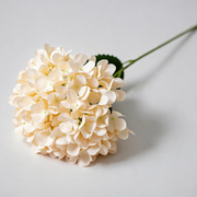 Albaricoque crema — Hortensia artificial de tela con hojas — 61 cm