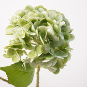 Verde — Hortensia artificial Aisha — 49 cm