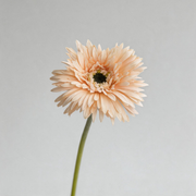 Champán rosado — Gerbera artificial — 43 cm