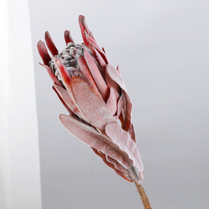 Orange Red — Flocked Artificial Vintage Protea — 53 cm