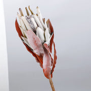 Autumn Green — Flocked Artificial Vintage Protea — 53 cm