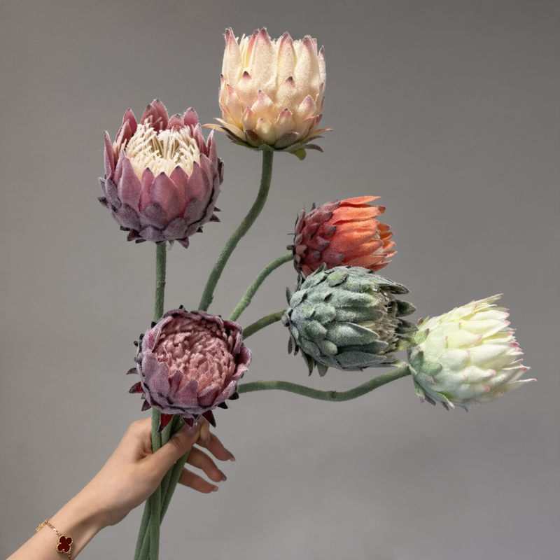 Hand holding six artificial king protea stems in different colors for product and color comparison
