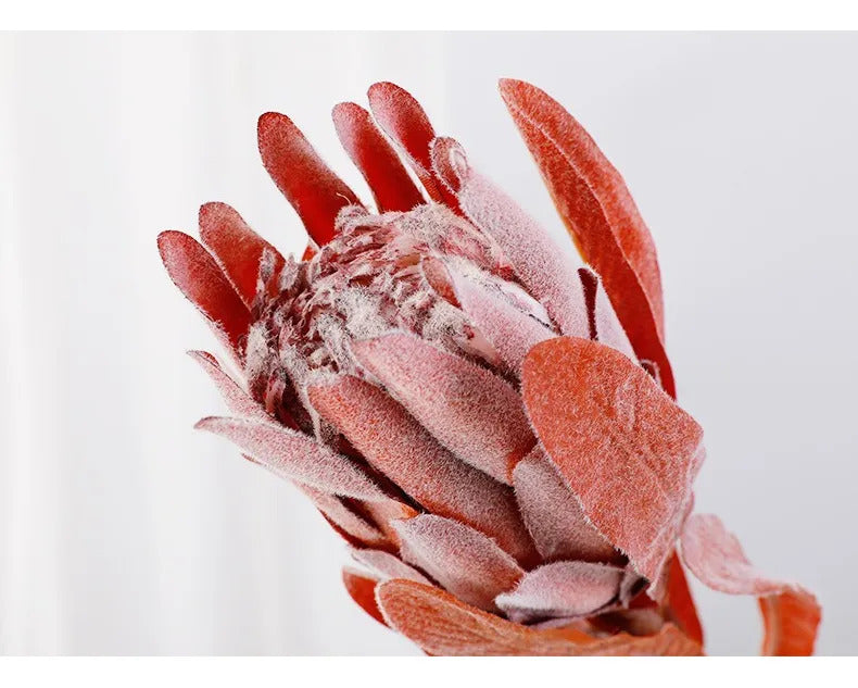 Vintage American Protea 인공 꽃 | Rustic Flocked 스템 홈 데코