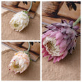 Nordic Thistle Single Stem Flocked Protea | Minimalist Scandinavian Decor