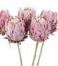 Real-Touch Flocked Pincushion Flower | Protea Family Filler Stem