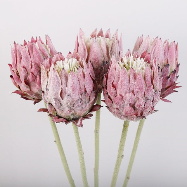 YOPIN Designer Single Stem King Protea | Premium Flocked Silk Artificial Flower