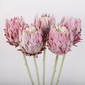 60cm Lifelike Flocked Silk Protea | Realistic Artificial Flower Stem