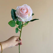 FSARCAN Bulgarian-Style Rose — Cream Pink