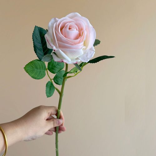 FSARCAN Bulgarian-Style Rose — Cream Pink